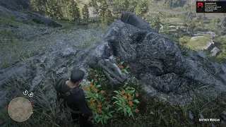 Red Dead Redemption 2 gameplay find Arthur's Morgan Grave (Paying Respects Trophy / Achievement)