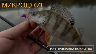 Микроджиг в ноябре🎣 ТОП приманка по окуню✅