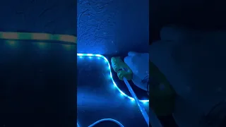 Como instalar luces led