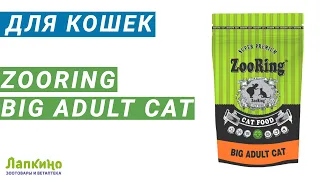 Big Adult Cat Zooring //  Ветаптека и зоотовара Лапкино ( Петшоп 78 )