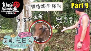 When you meet a MAD BULL in a Durian farm【I'm Namewee's PA | 助理跟拍-黃明志日常Vlog】Part 9