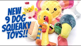New Dog Toy Squeaky Toy Sounds 9 Different Squeaky Noise Toys To Call Your Dog