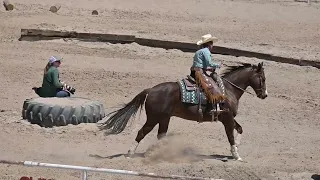 EXCA 2024 05 12 El Paso Sheriff's Posse Ride Smart #1 Celeste H Wright On Gunner