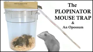 The Plopinator Mouse Trap - Great At Catching Mice & Attracting Opossum. Mousetrap Monday