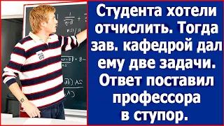 Студента хотели отчислить, тогда зав кафедрой зад ему две задачи. Ответ поставил профессора в ступор