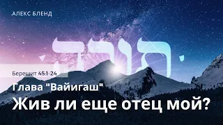 2. Недельная глава Вайигаш. Жив ли еще отец мой? Берешит (Бытие) 45:1-24