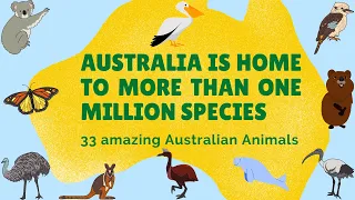 Top 5 Australian Animal Facts || Weird Wild Animals