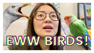 MEET MY BIRDS! | How I Ended Up Owning Birds