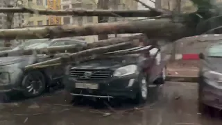 Ветер в Москве🙄Говорили же, не надо ставить под деревьями