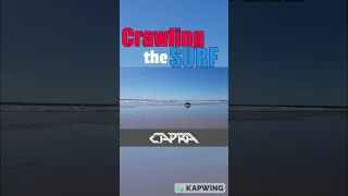 RC Crawling the SURF Salt Water | Axial Capra 1.9 4x4 4WS soaks in the suds #shorts