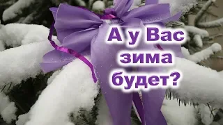 А у Вас зима будет со снежком и морозами? Узнайте об этом у своих предсказателей: лука, кошек, елей