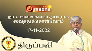 🔴 LIVE 17 November 2022 Holy Mass in Tamil 06:00 PM (Evening Mass) | Madha TV