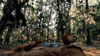 Coffee Alone In Real Winds Of Forest Atmosphere, Relaxing With Chill Bossa Nova Music Melody 12°C