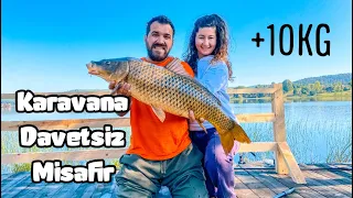 Karavanda Sabah Davetsiz Misafire Uyandık | Carp Fishing | Sazan Avı