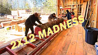 2X12 LUMBER MADNESS WITH THE WOODMIZER LT15 WIDE