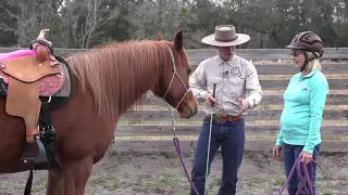 How To Lunge A Hot Horse