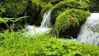 Beautiful Forest Sounds, Peaceful Waterfalls, Babbling Brook, Relaxing Nature Sounds
