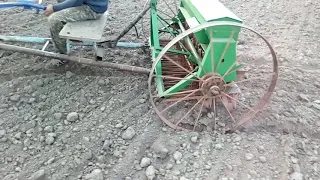 Анкерна сівалка плюс мотоблок.