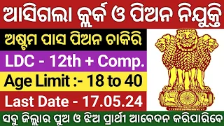 ସରକାରୀ କ୍ଲର୍କ ଓ ପିଅନ ନିଯୁକ୍ତି 2024 ! New Job Vacancy 2024 Odisha ! Odisha New Job Update 2024 !