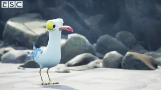 Seagull Animation by Molly McCabe created at Escape Studios
