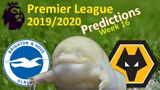 Premier League | Brighton vs Wolves | fpl  2019/20 Gameweek 16 | Guessing Frog predictions