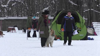 Квалификационные испытания по обидиенс-1 (17/02/2018).