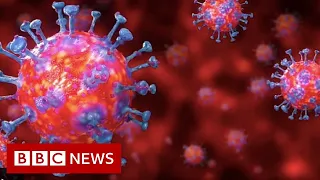 Coronavirus: more than 10,000 deaths as senior adviser says UK may be worst hit in Europe - BBC News