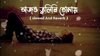 Bhulini Tomay | ভুলিনি তোমায় | (Slowed And Reverb) | Jisan Khan Shuvo | Rasel Khan | Zerin Khan |