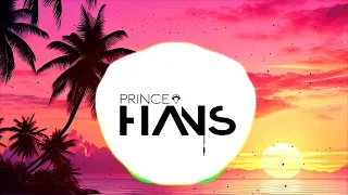 Chris Brown - Under The Influence(Prince Hans Tropical Zouk)