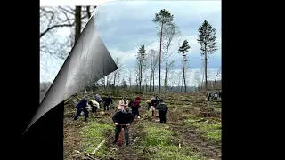 Лес   наше богатство