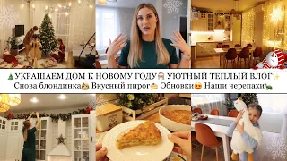 🎄УКРАШАЕМ ДОМ К НОВОМУ ГОДУ🎅🏼✨• СНОВА БЛОНДИНКА👩🏼• ВКУСНЫЙ ПИРОГ🍰• ОБНОВКИ😍• НАШИ ЧЕРЕПАХИ🐢