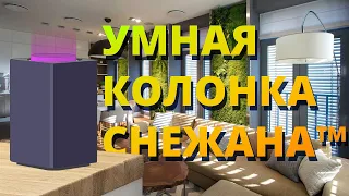 Умная колонка Снежана™ | Анимация