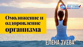 Квантовая Анатомия Омоложения и Оздоровления на клеточном уровне / Елена Зуева