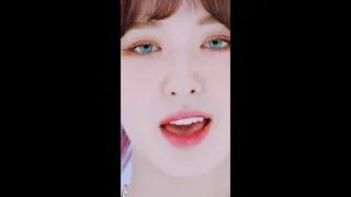 Wendy – Singing #1: "Hollanseureon mamigetji"