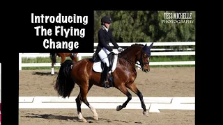 How to Introduce the Flying Change