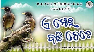 A mor bati chede Old koraputia song //Rajesh Musical Present// Rajesh lahara