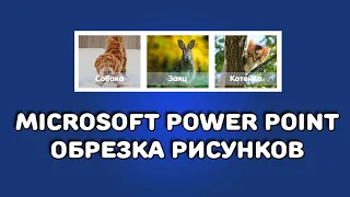 PowerPoint: обрезка фотографий