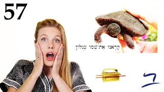 Hebrew - Strike & Fall - הִכָּה נָפַל - Biblical Hebrew - Lesson 57