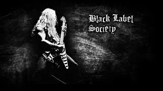 Zakk Wylde - Sold my soul (WITH LYRICS)