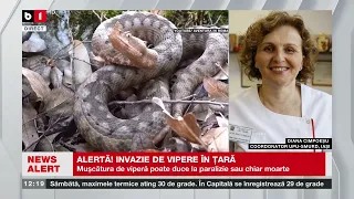 ALERTĂ INVAZIE DE VIPERE ÎN ȚARĂ_Știri B1TV_30 sept. 2023