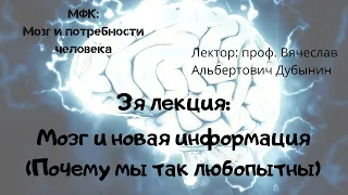 3я лекция Мозг и новая информация Почему мы так любопытны Вячеслав Дубынин