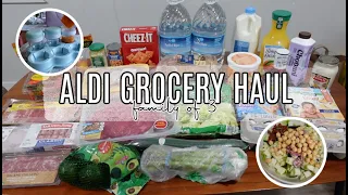 WEEKLY RESET | Aldi Grocery Haul, Making Baby Food & Meal Ideas! | Family of 3