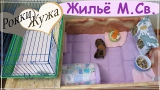 Обустраиваем жильё морским свинкам мальчикам. Guinea pigs.