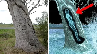 10 Scary Discoveries Found In Unexpected Places