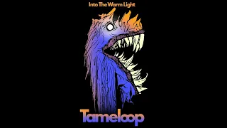 Tameloop - Into The Warm Light
