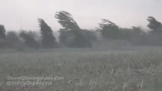 Pinckneyville, IL Extreme Winds Blow down Trees - 4/26/2017