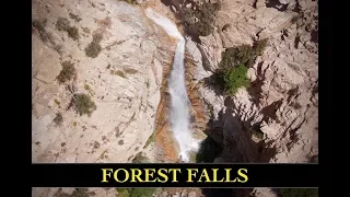 Hike 🥾 to Big Falls Waterfall 💦 in Forest Falls, CA.  San Bernardino National Forest