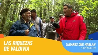 Lugares que Hablan | Temporada 2020 | Capítulo 8 | Valdivia
