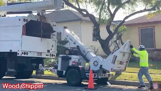 Wood Chipper At Work｜COMPLETE PROCESS