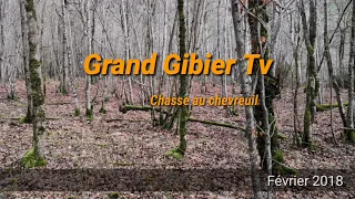 Battue Grand Gibier  -  Chasse au chevreuil -  Février 2018